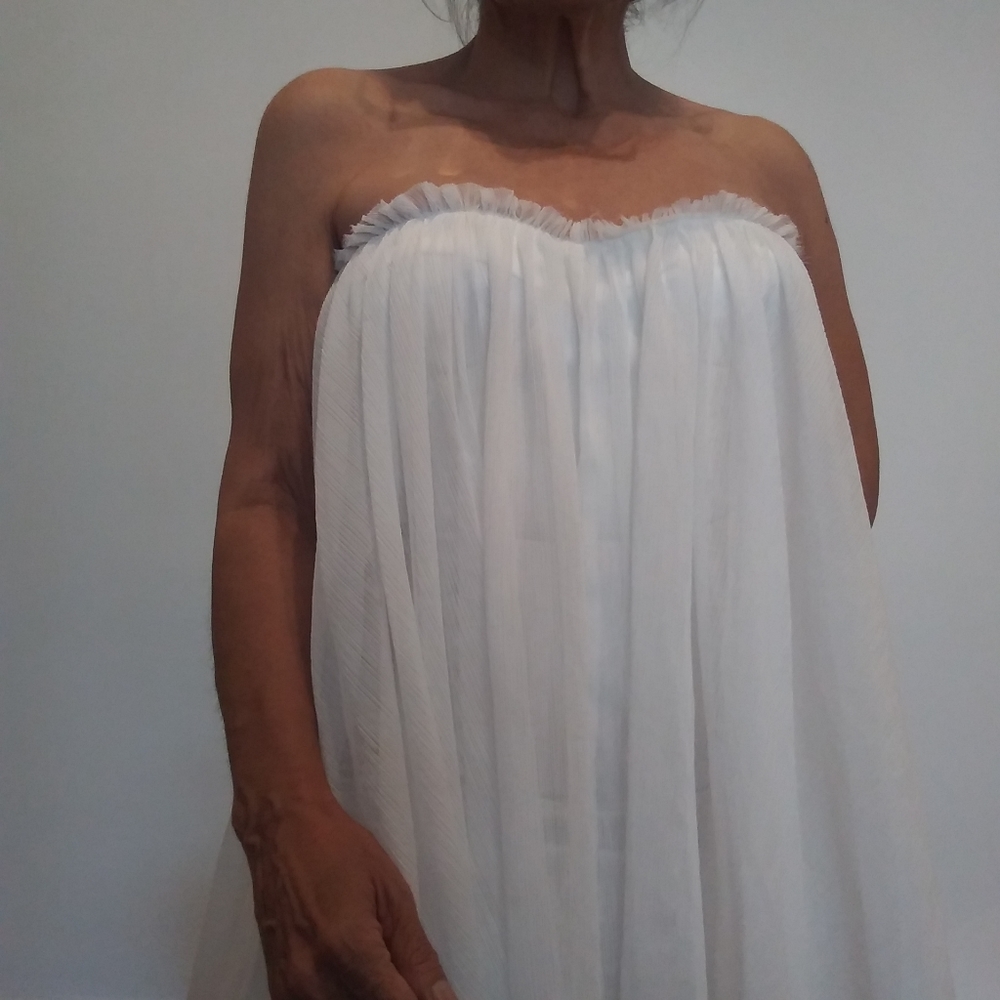 NWT 60's corset mini dress with tule overdress